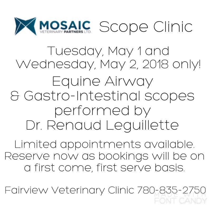 Scope Clinic 2018 – Mosaic PetCare