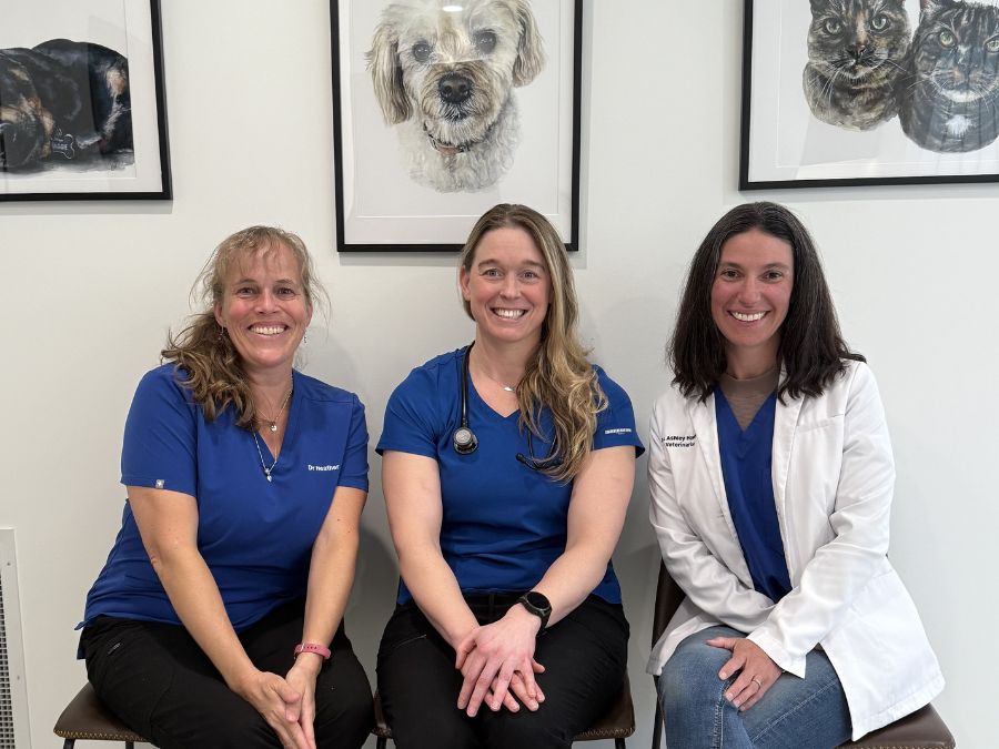 Mosaic Veterinary team members