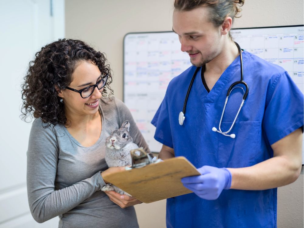 Woman holding a rabbit and talking to veterinary staff